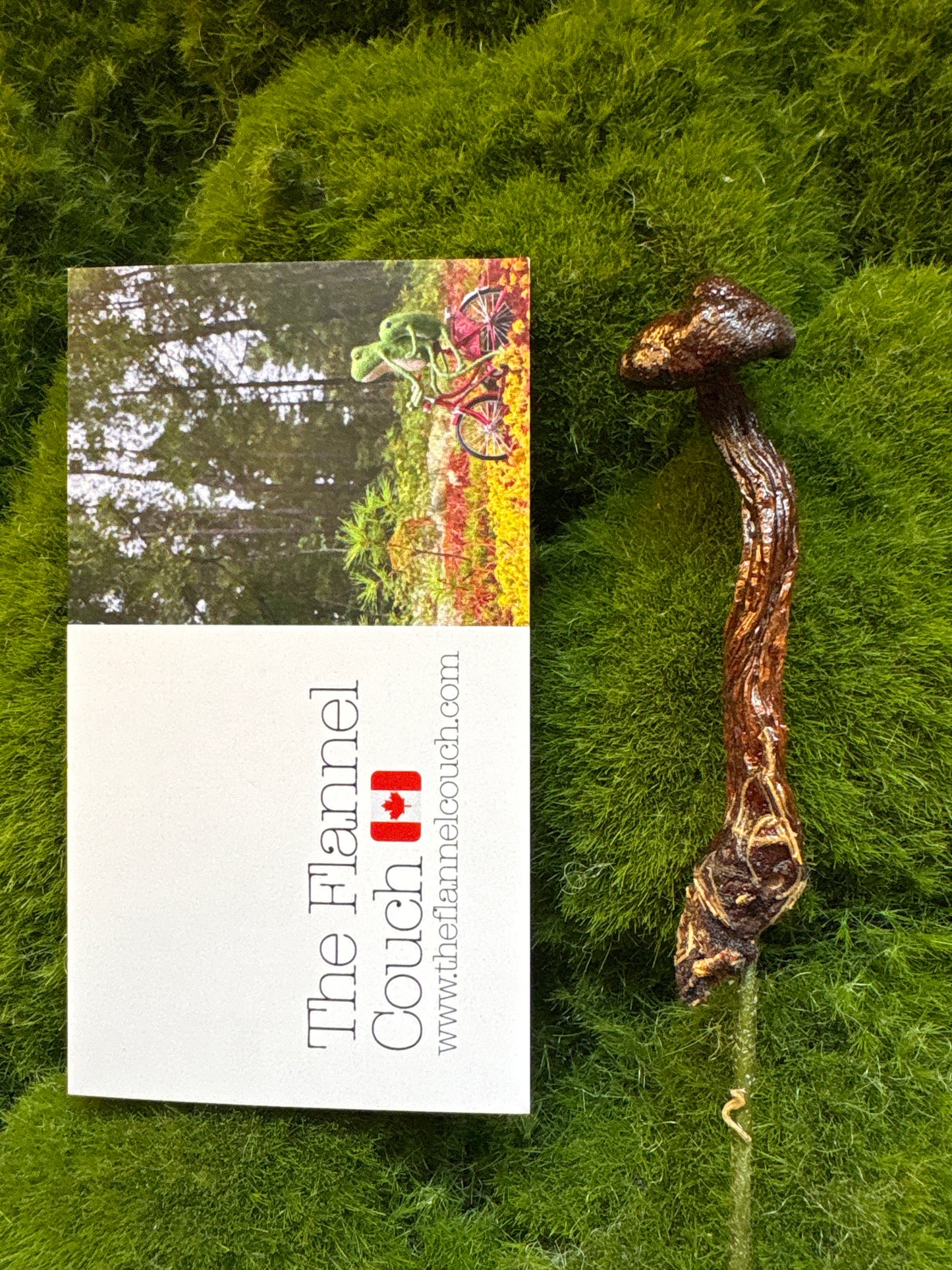 Wild Ontario Mushroom Plant Spikes