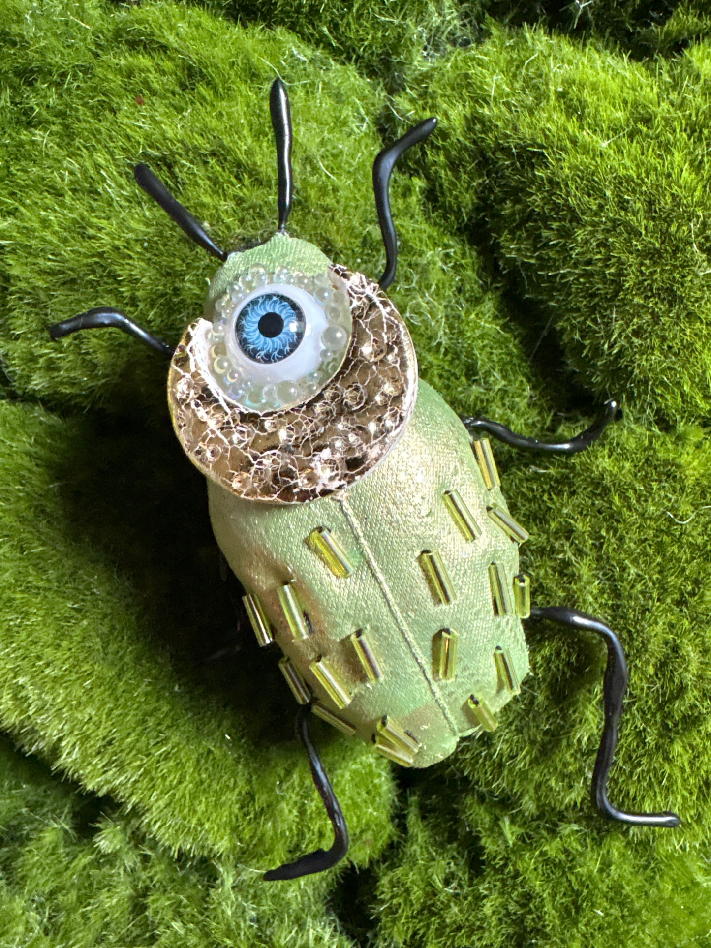 Fancy Textile Beetles
