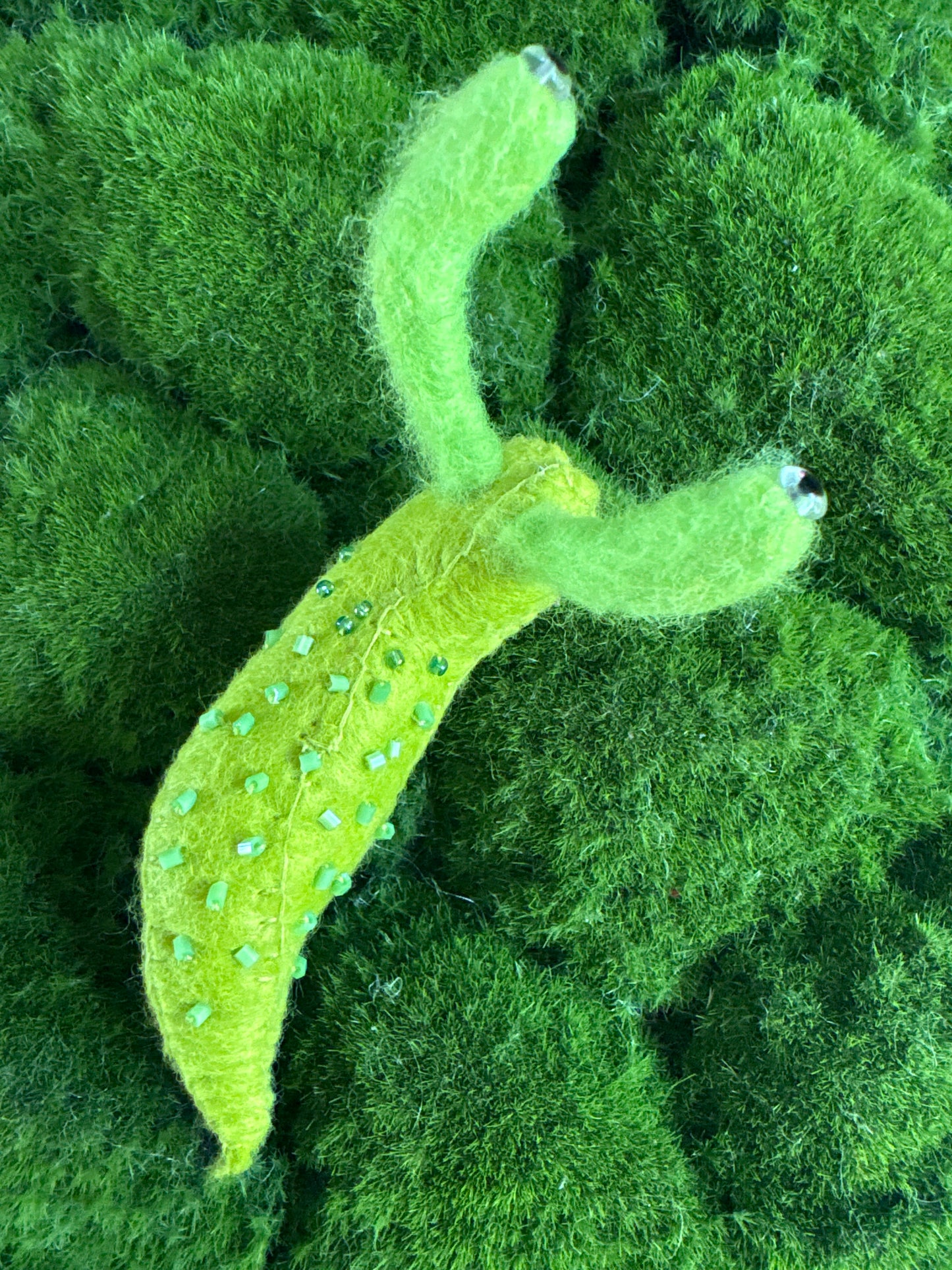 Slugs