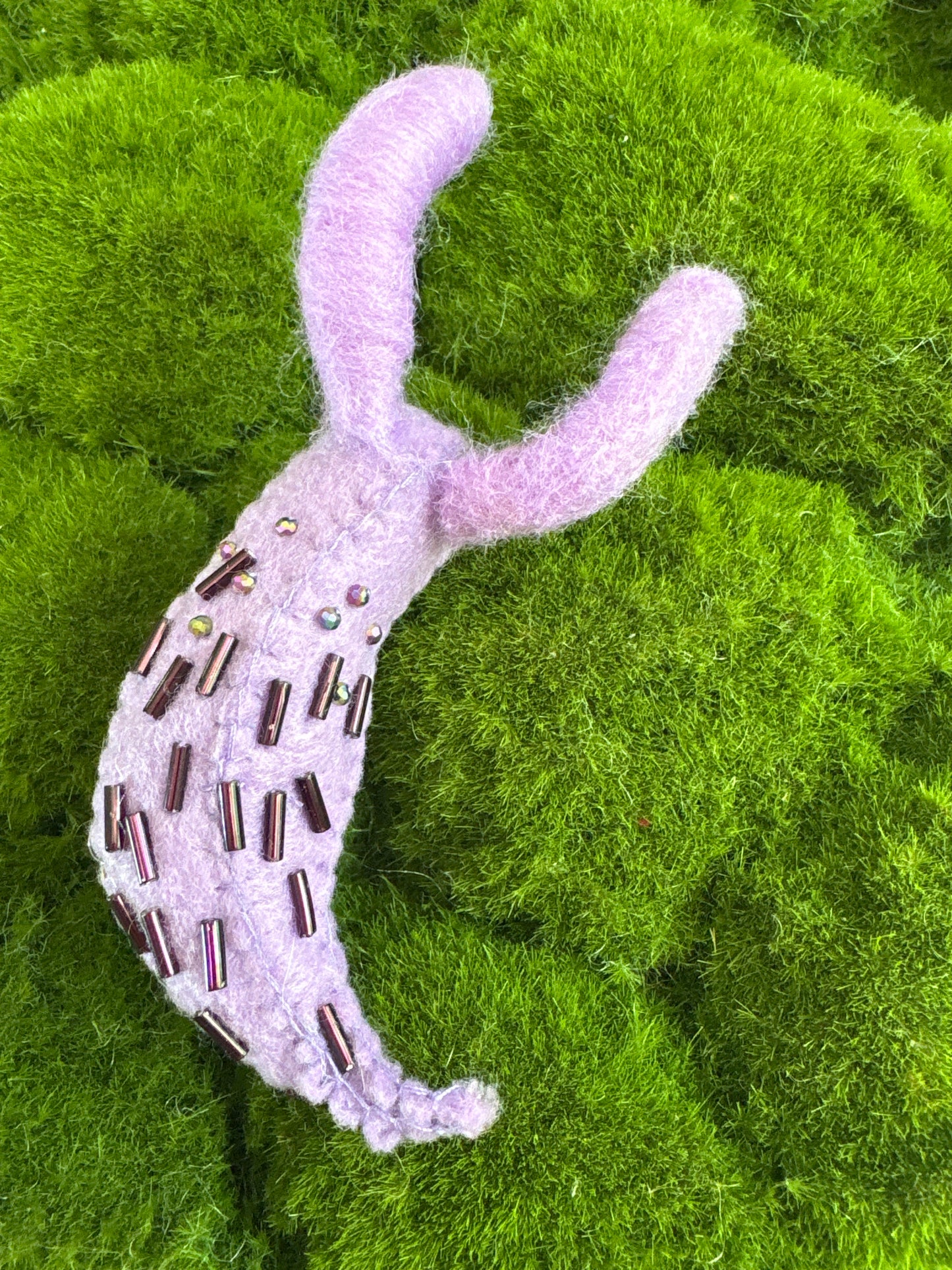 Slugs