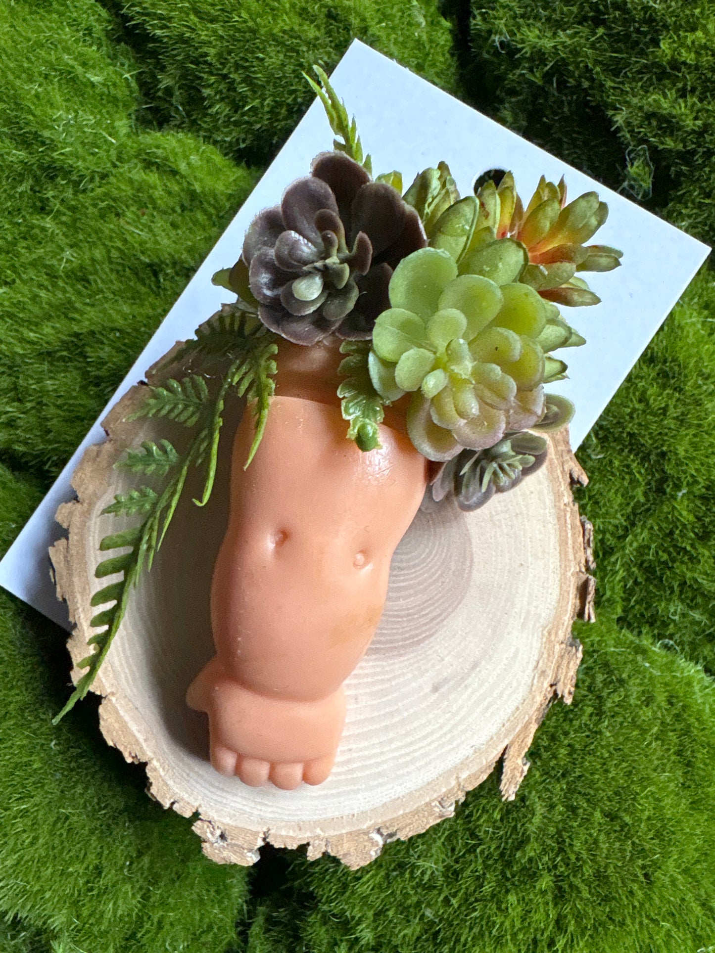 Up Cycled Doll Succulent Magnets