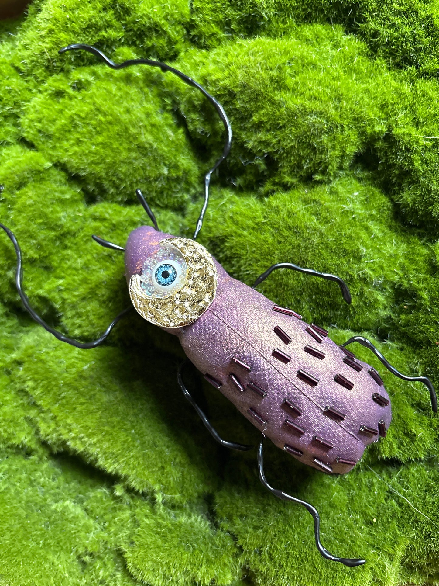 Fancy Textile Beetles