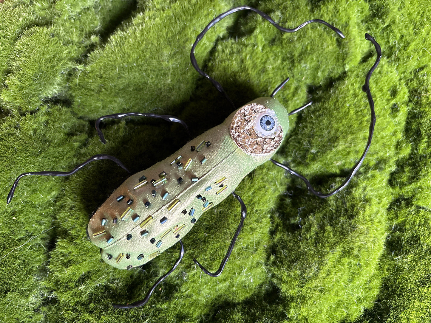 Fancy Textile Beetles
