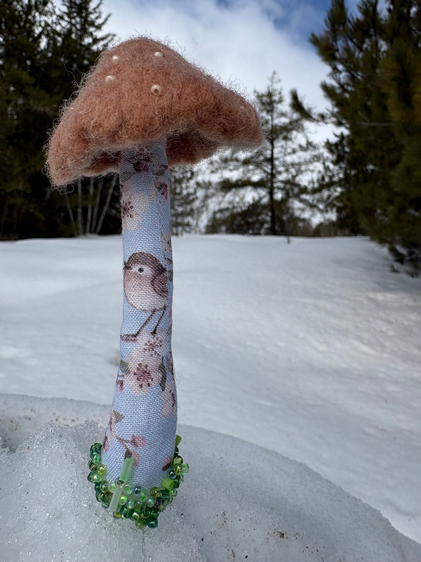 Mushroom π Plant Spikes