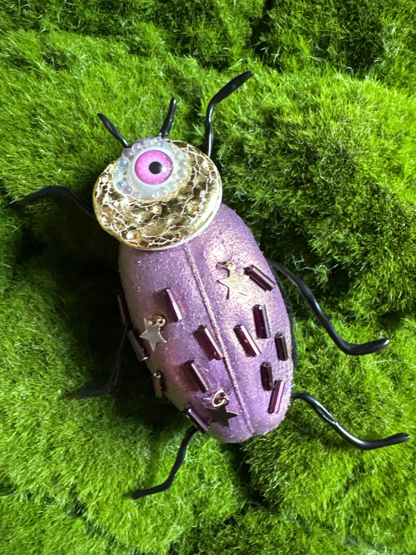 Fancy Textile Beetles