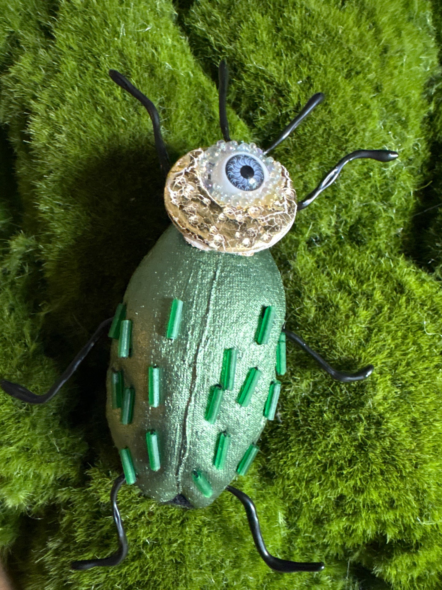 Fancy Textile Beetles