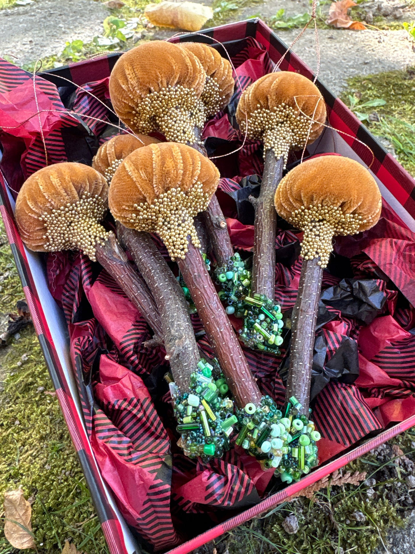 mini Mushrooms
