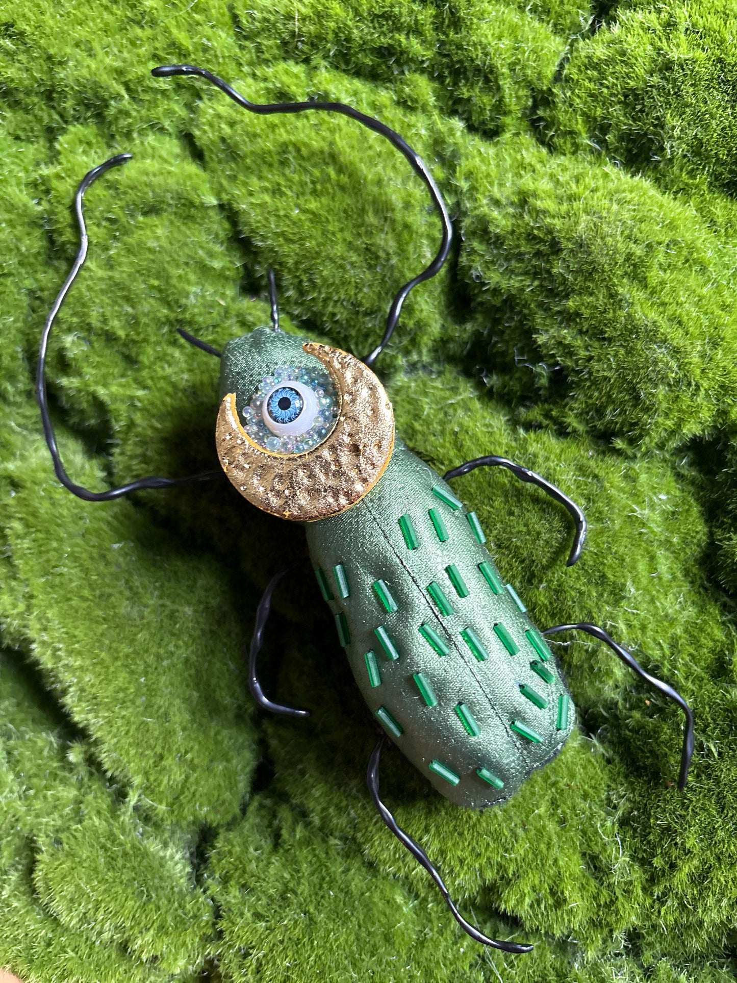 Fancy Textile Beetles