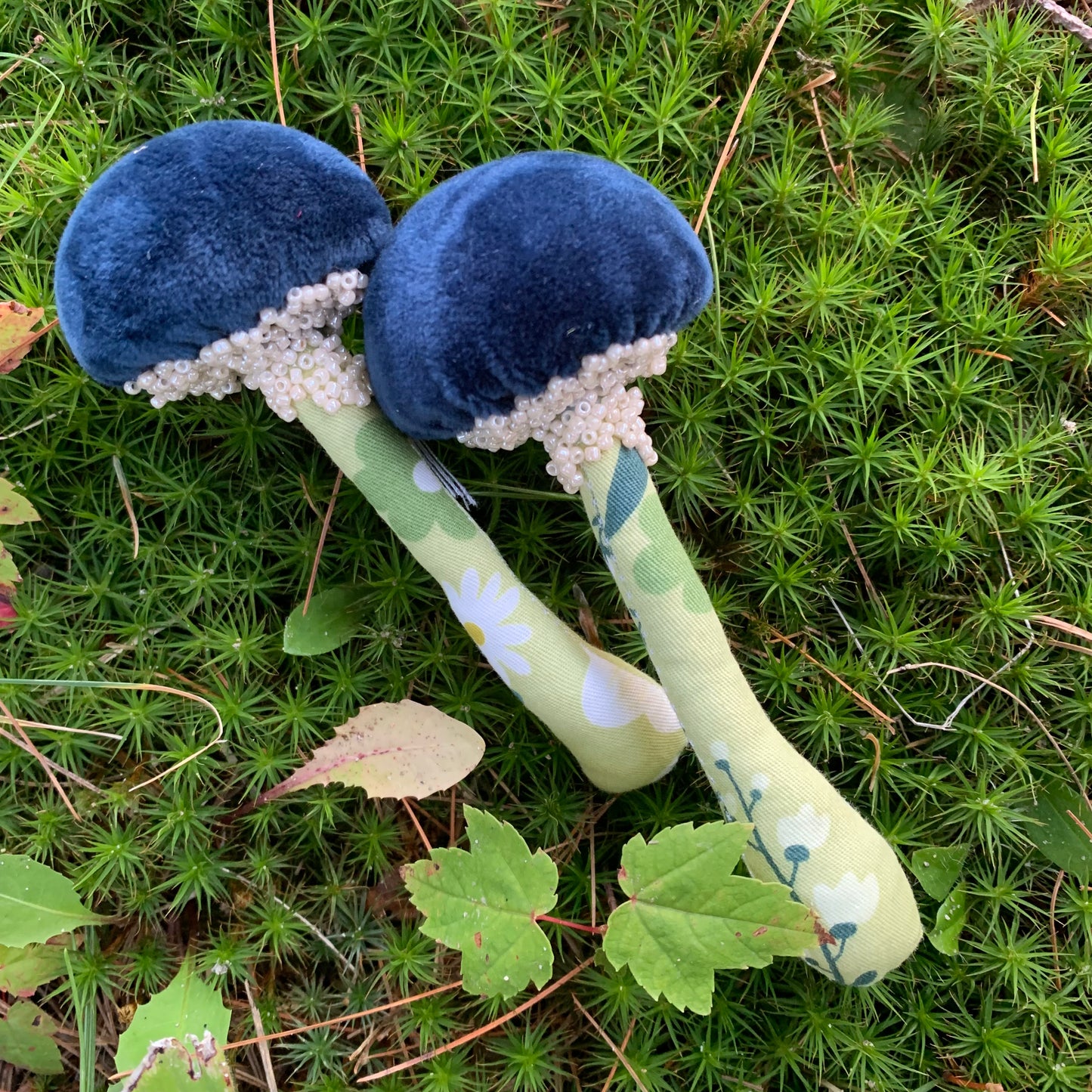 BFF 🍄 🍄 Box Set - Florals