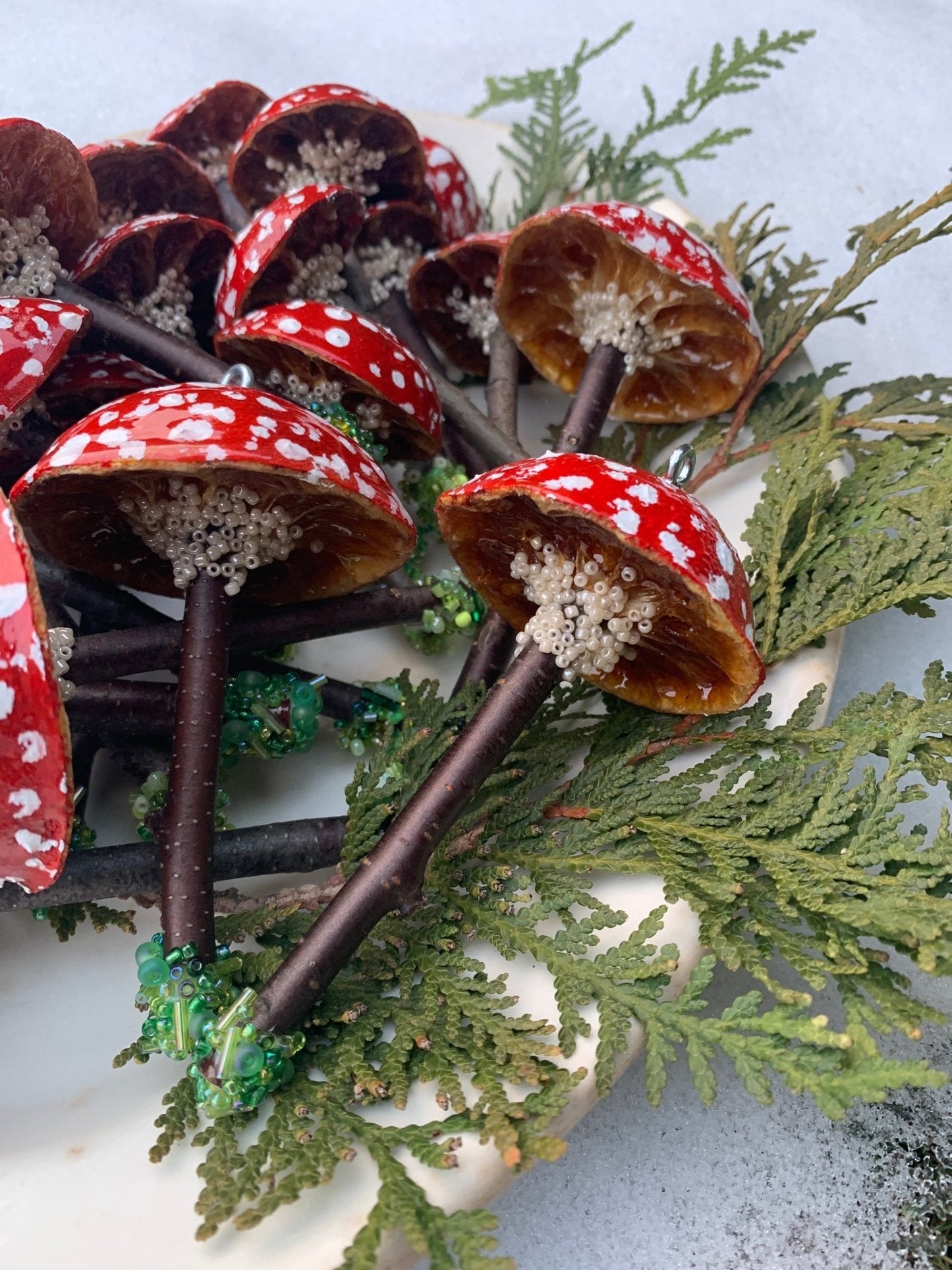 Farmhouse Fungi - The Flannel Couch