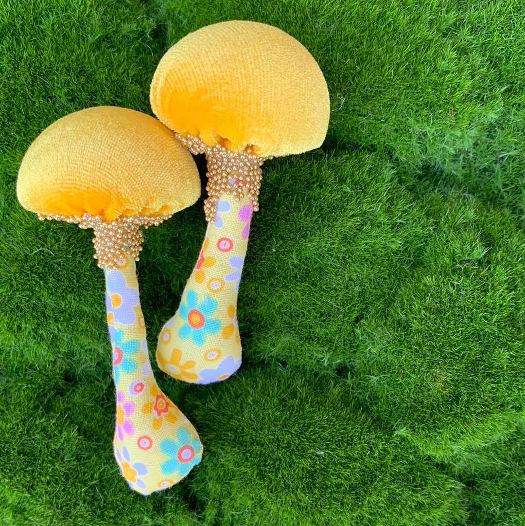 BFF 🍄 🍄 Box Set - Florals