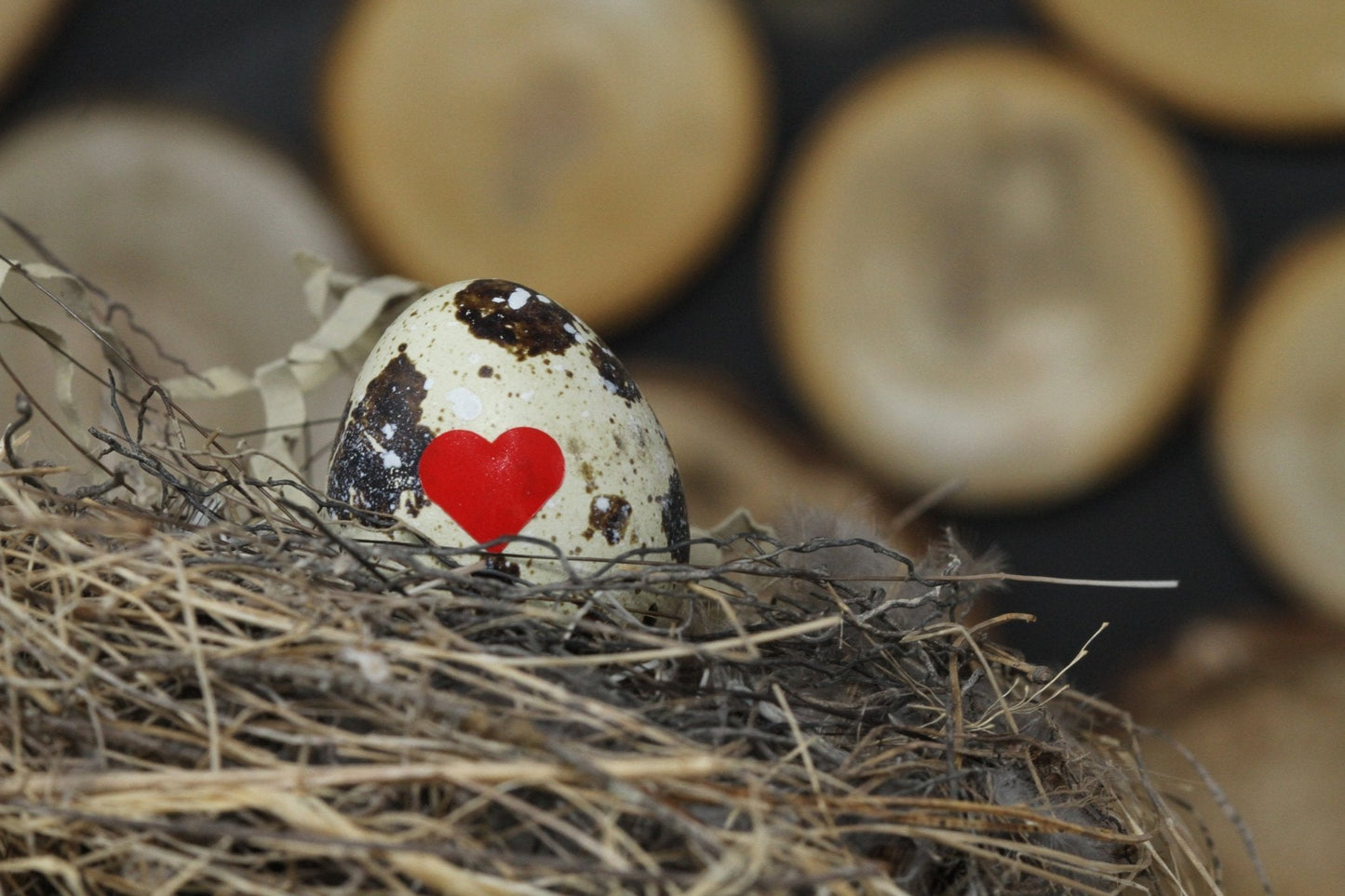 Nature Inspired Reveal Eggs Messages - The Flannel Couch