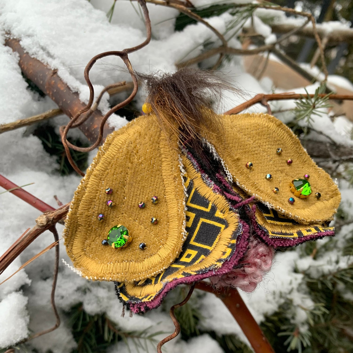 Moths & Butterflies