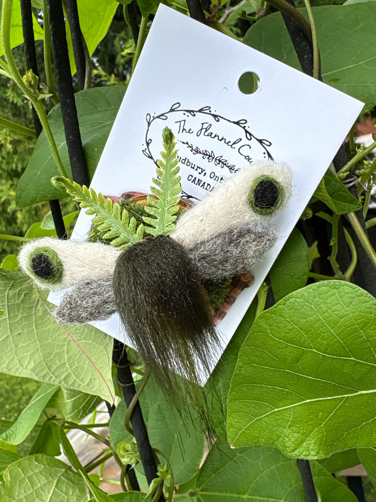 Felted Moth/ Butterfly Magnets