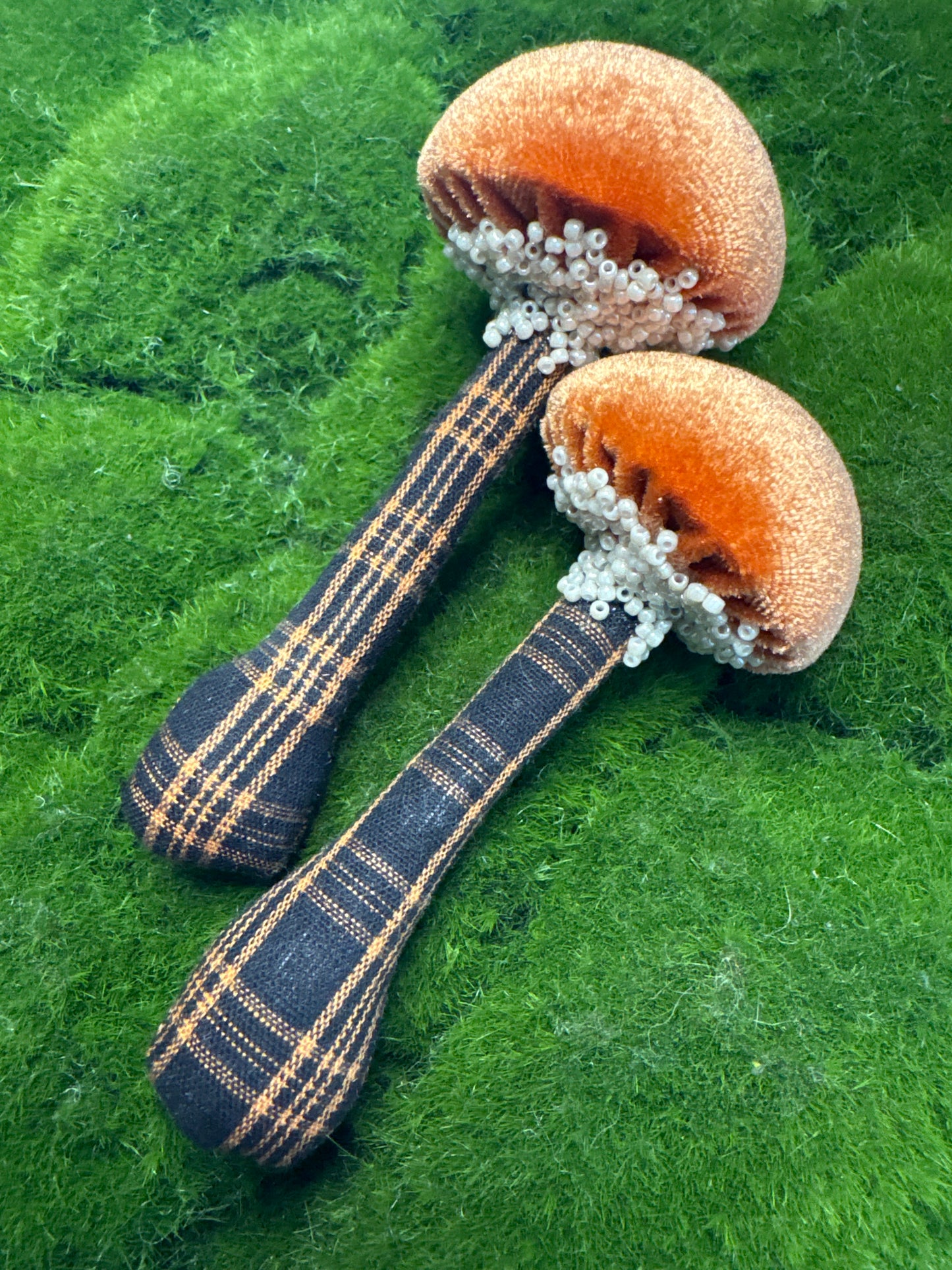 BFF Mushroom Box Set 🍄🍄