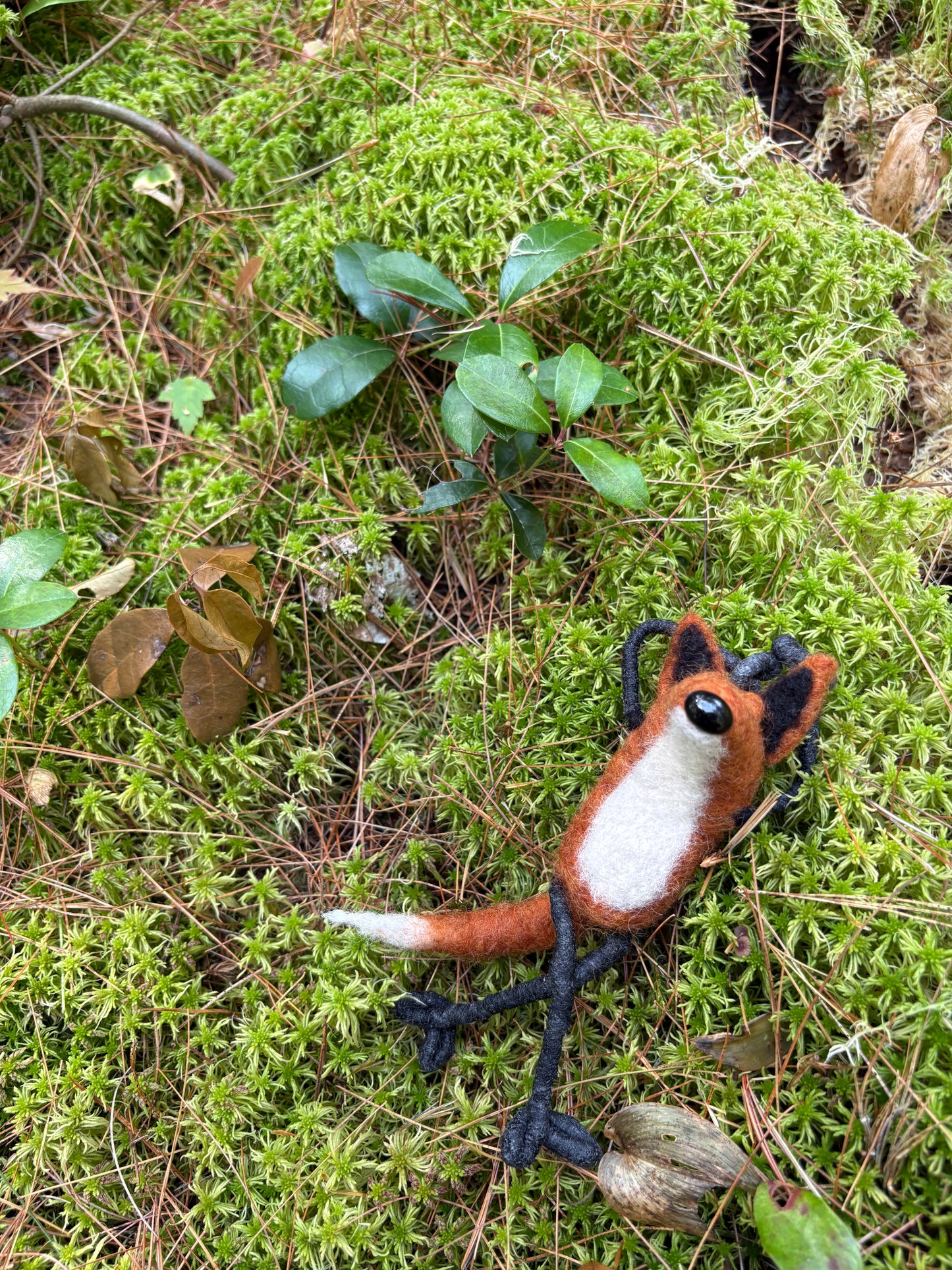 Mouse House Friends & Co.