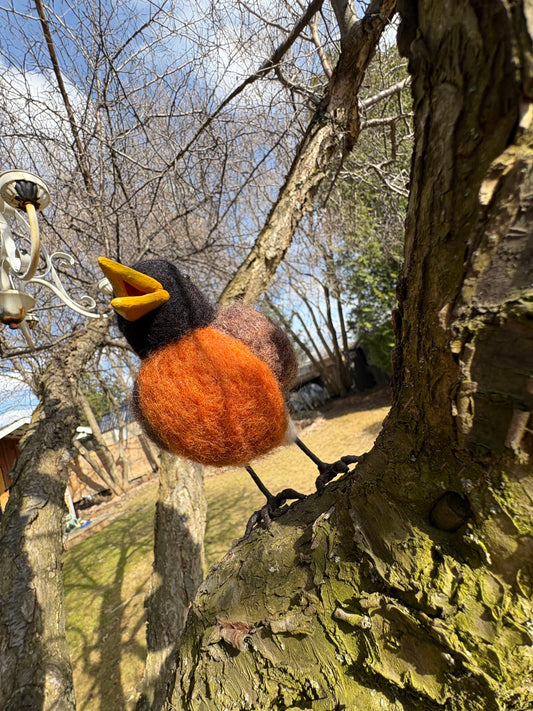 American Robin Bird Felted