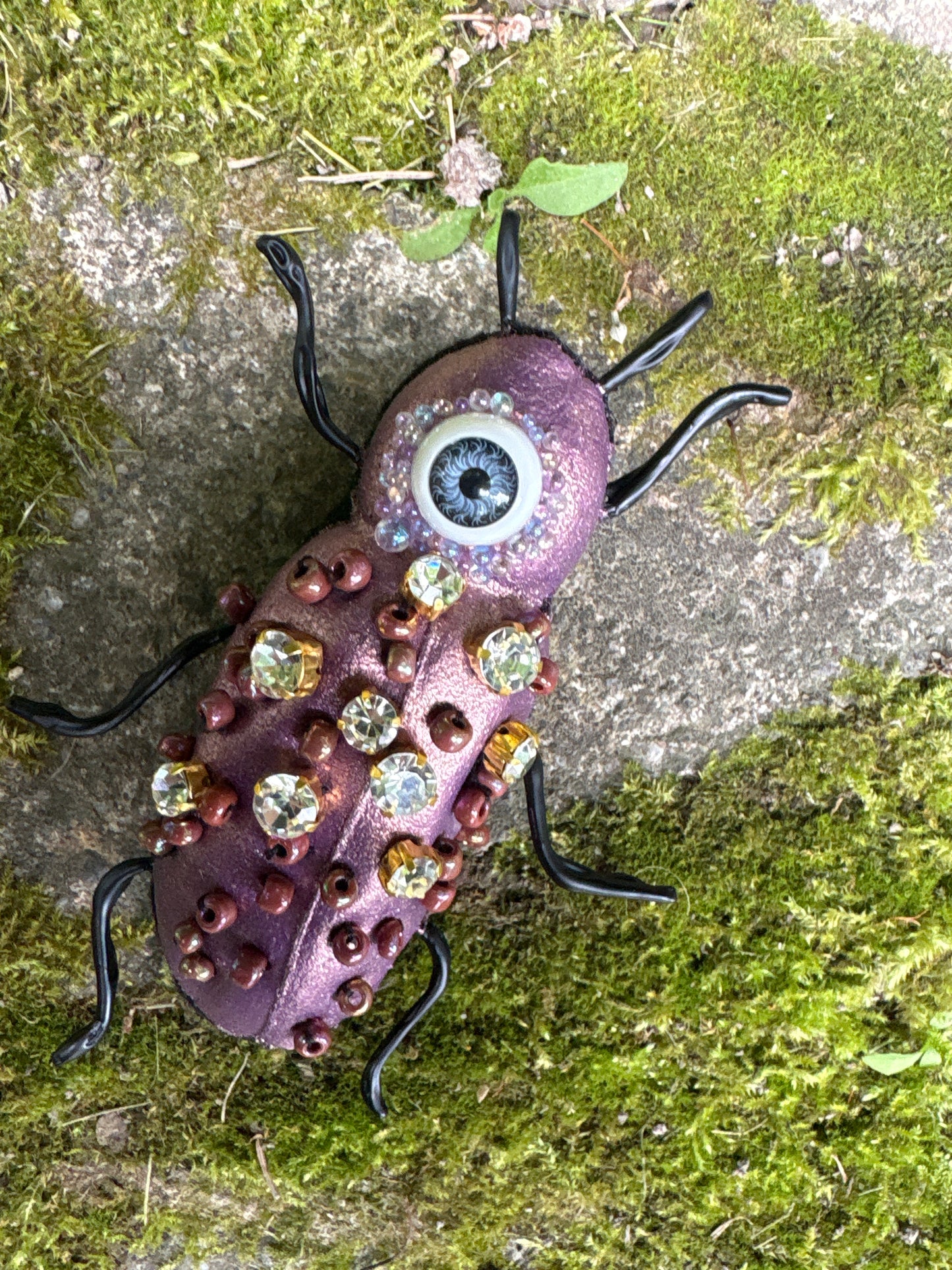 Fancy Textile Beetles