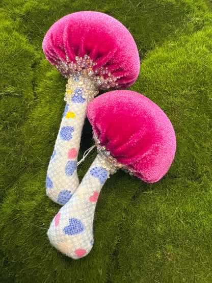 BFF Mushroom Box Set 🍄🍄