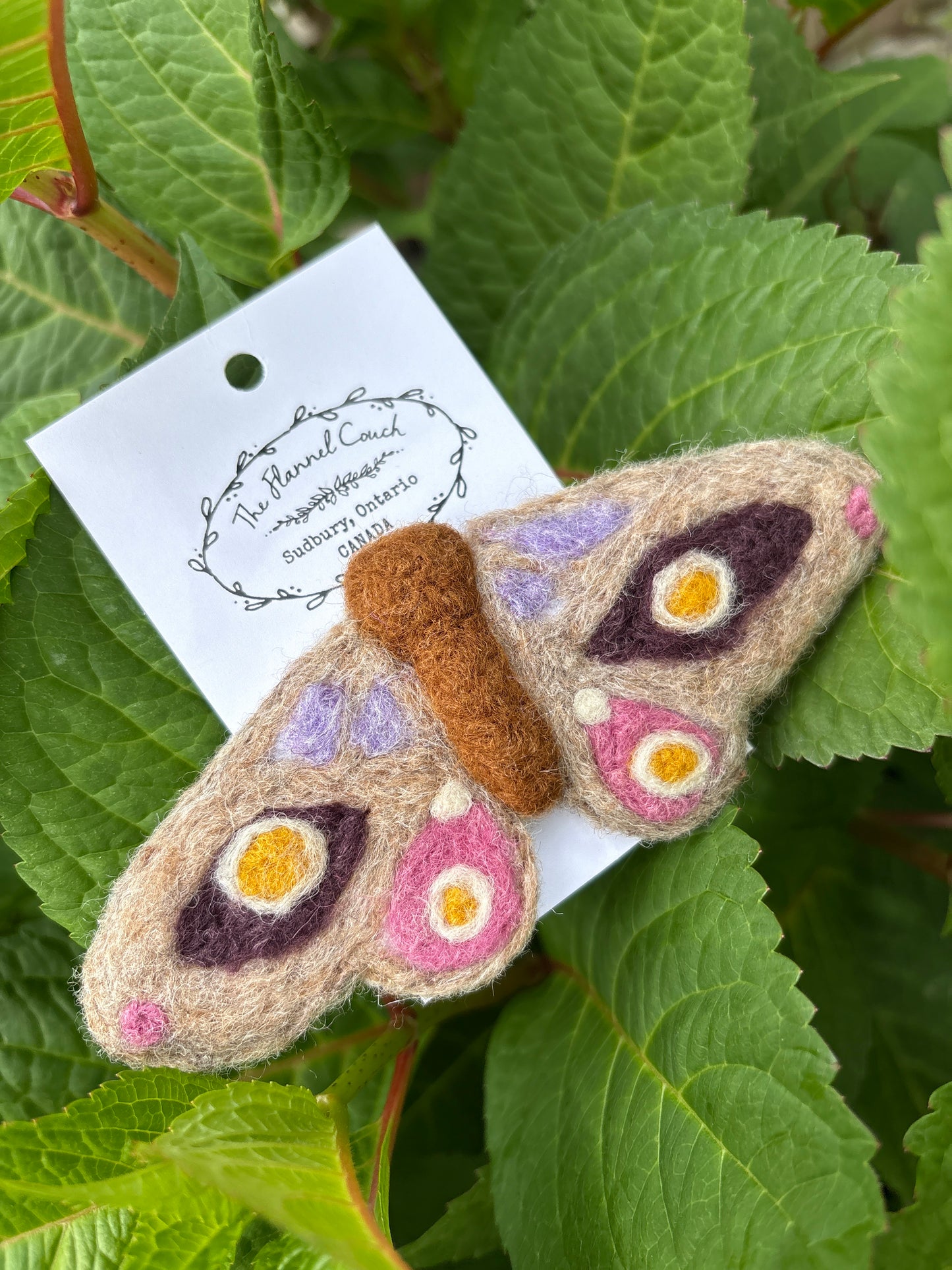 Felted Moth & Butterflies