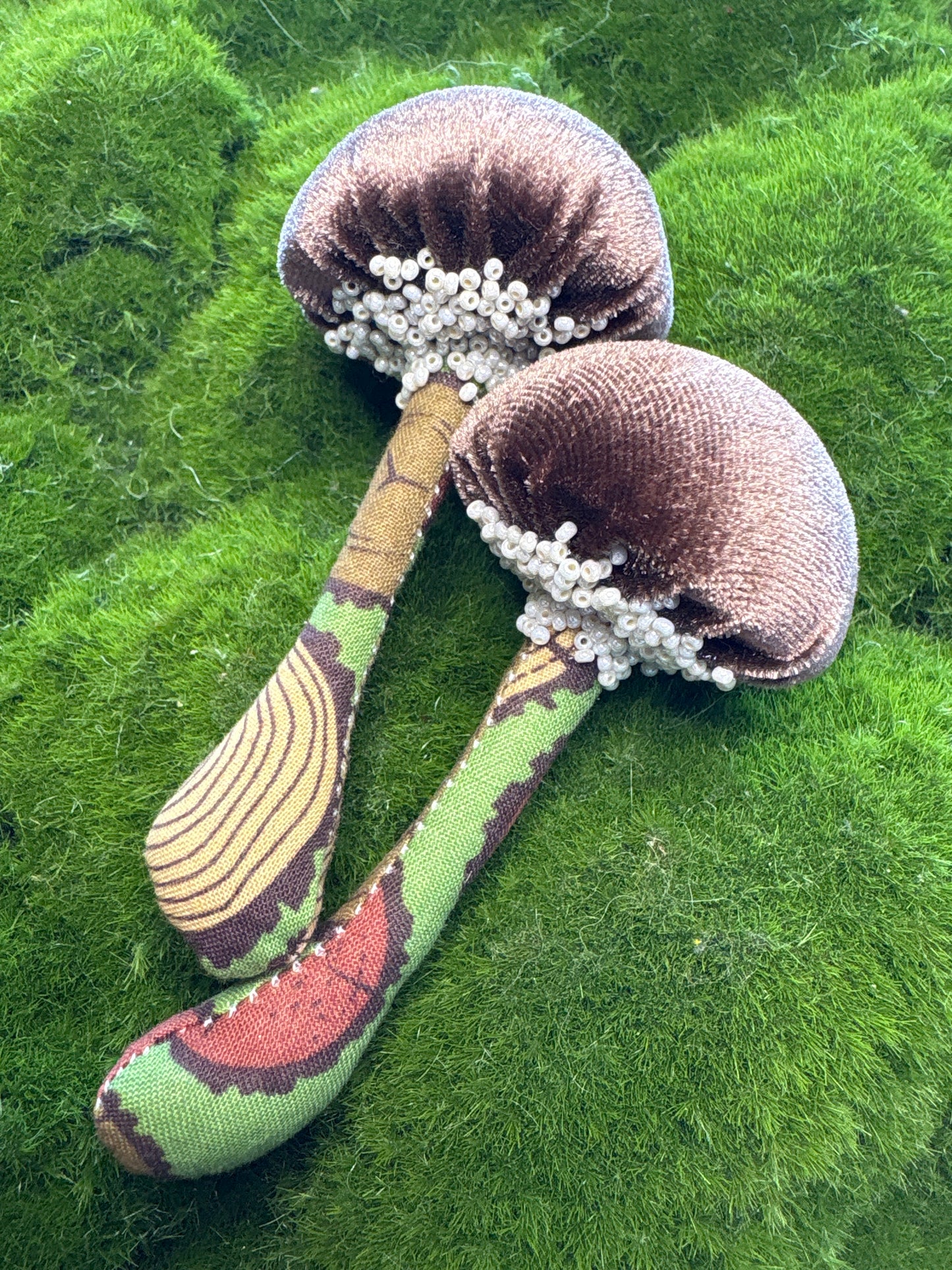 BFF Mushroom Box Set 🍄🍄