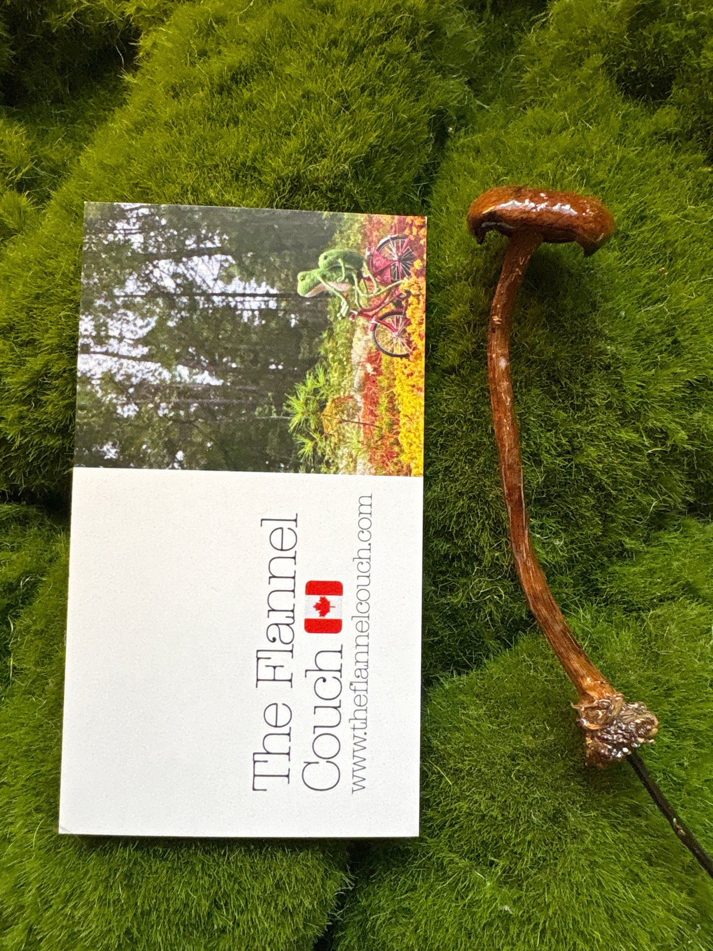 Wild Ontario Mushroom Plant Spikes