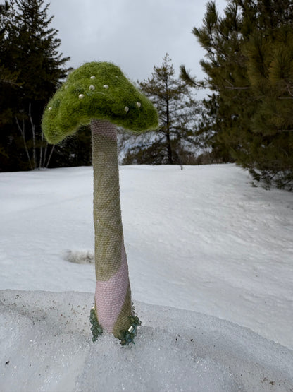 Mushroom 🍄 Plant Spikes