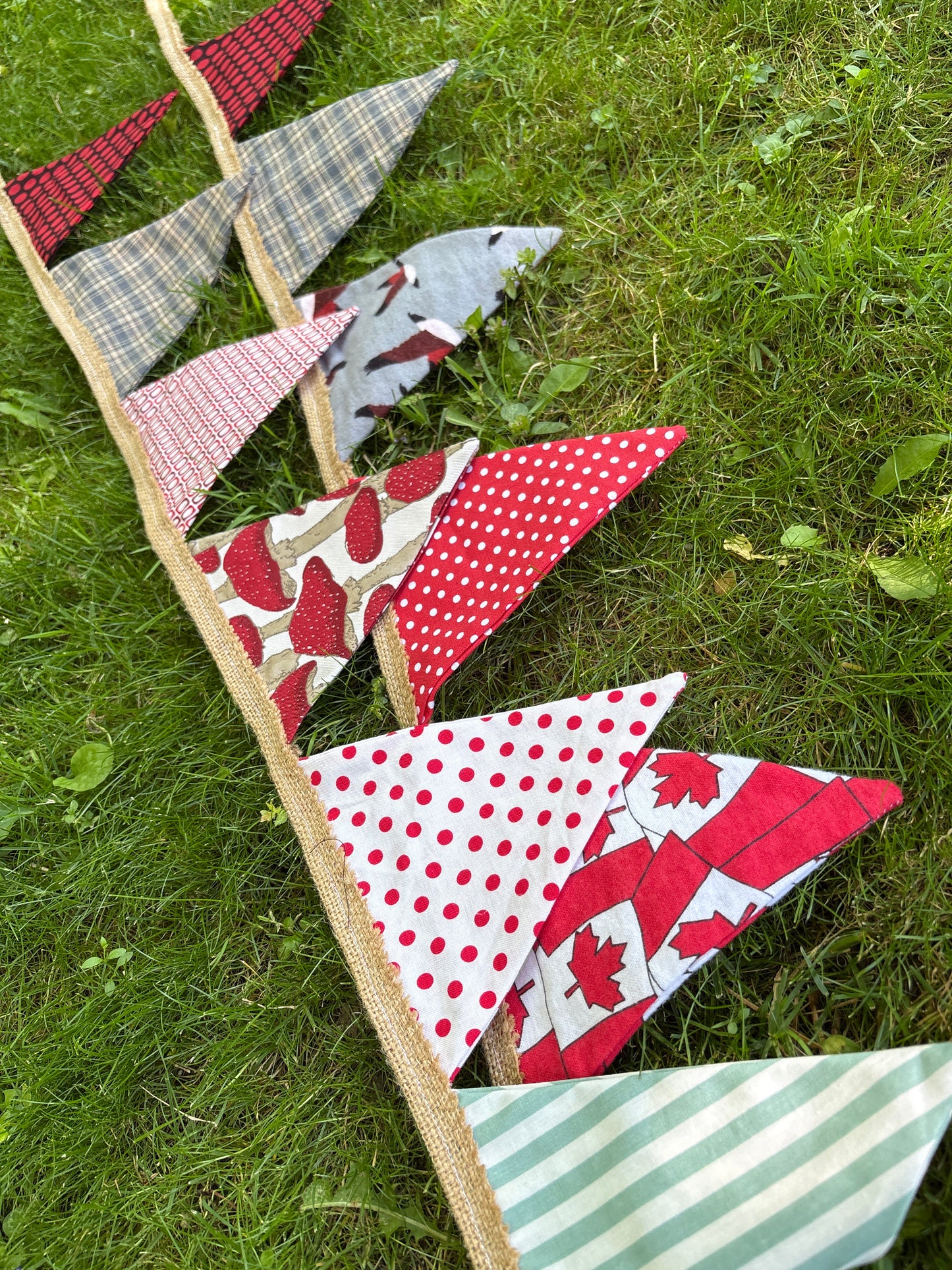 Pennant Flags Banners & Garlands