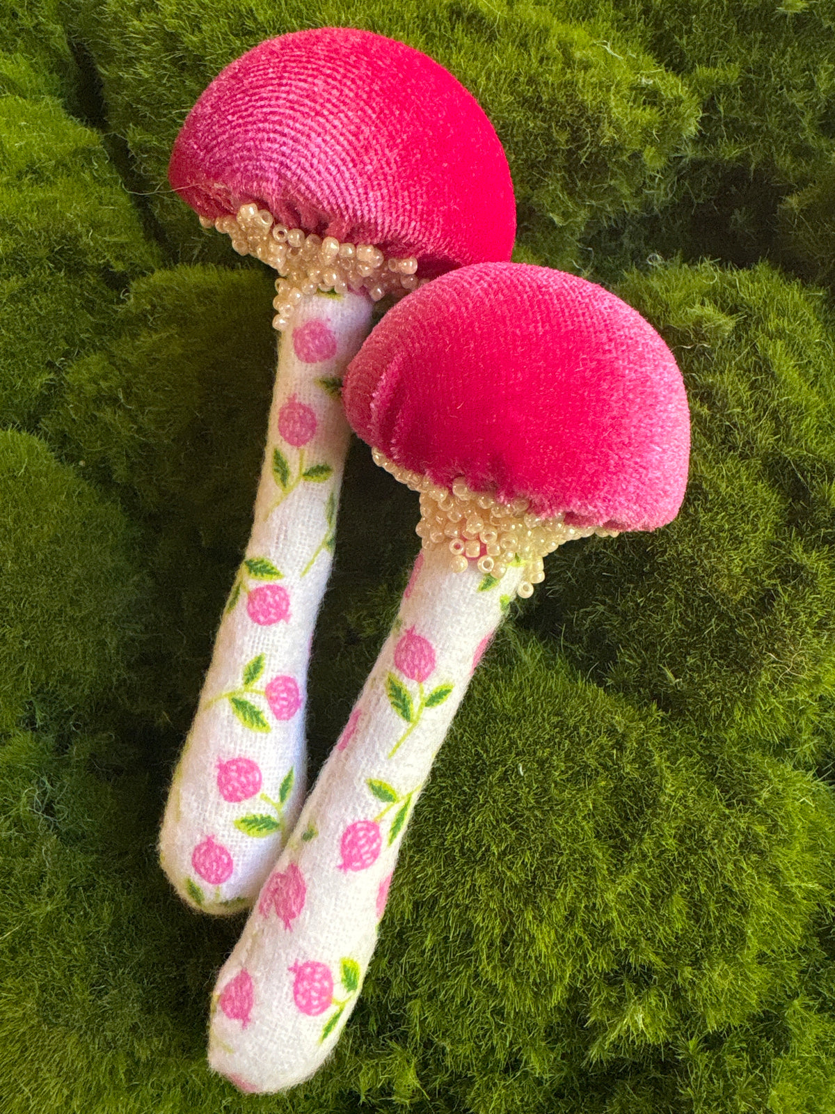 BFF Mushroom Box Set 🍄🍄