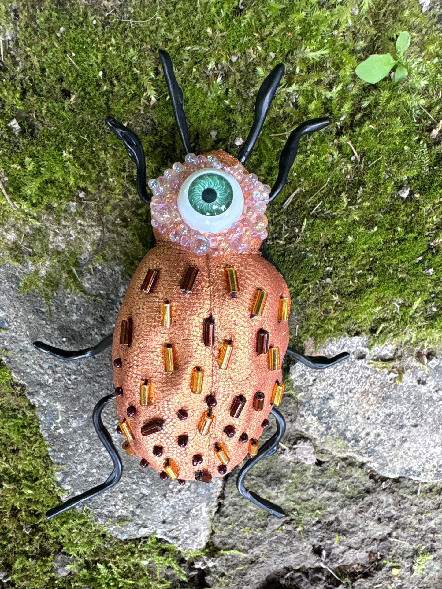 Fancy Textile Beetles