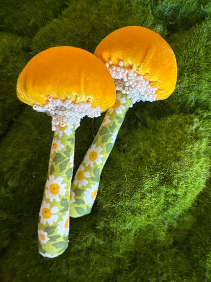 BFF Mushroom Box Set 🍄🍄