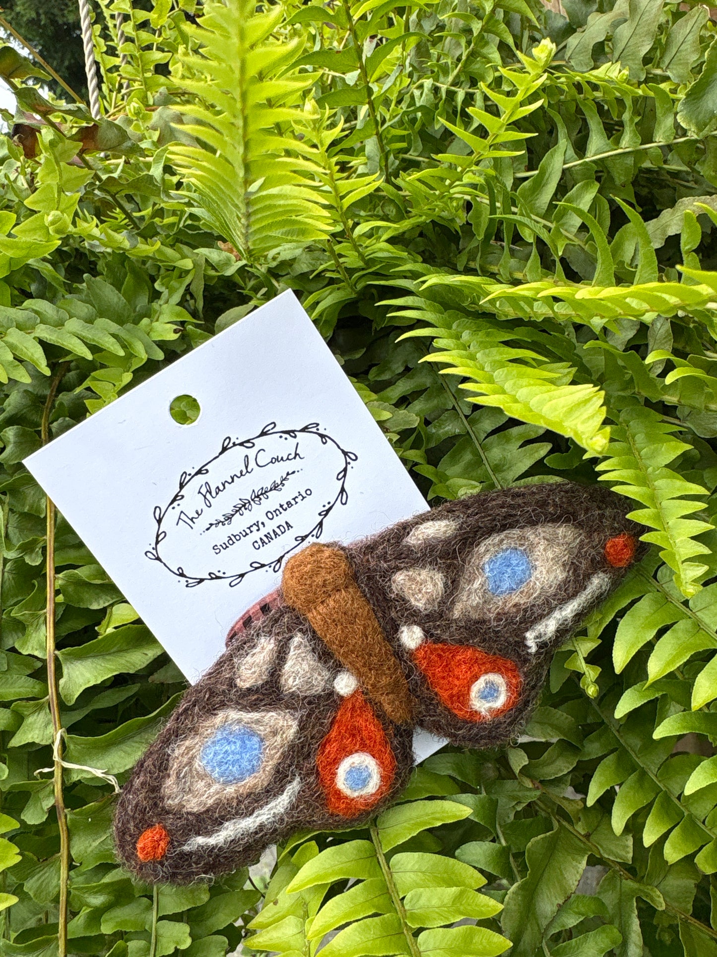 Felted Moth & Butterflies