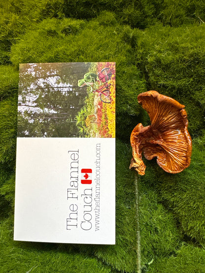 Wild Ontario Mushroom Plant Spikes