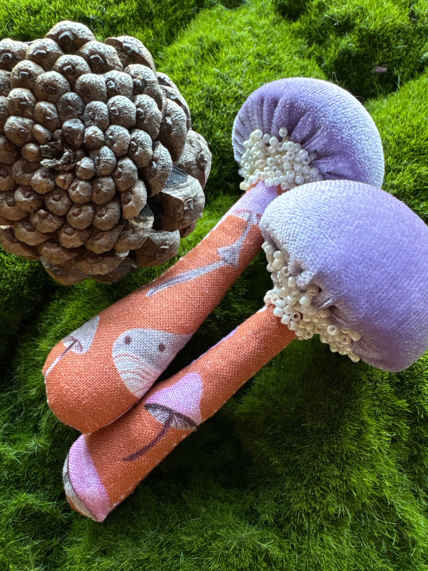 BFF Mushroom Box Set 🍄🍄