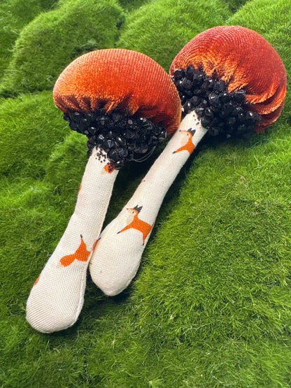 BFF Mushroom Box Set 🍄🍄