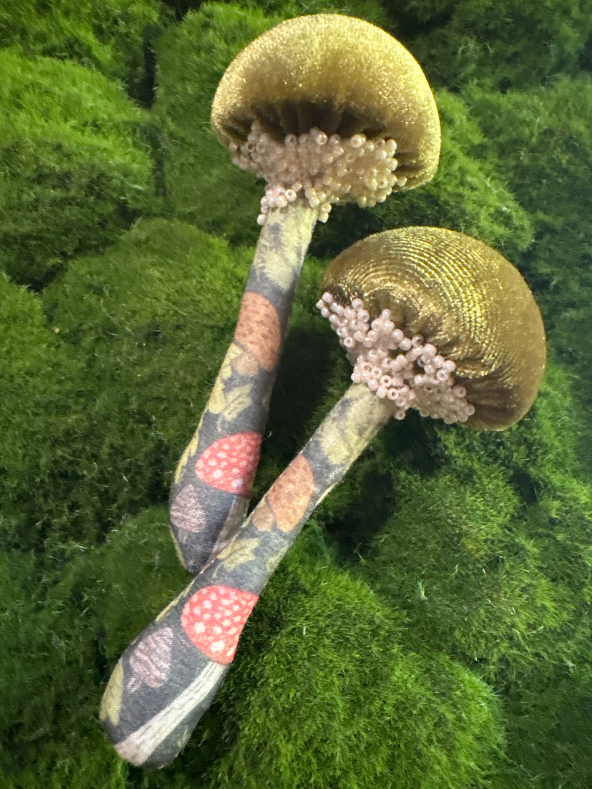 BFF Mushroom Box Set 🍄🍄