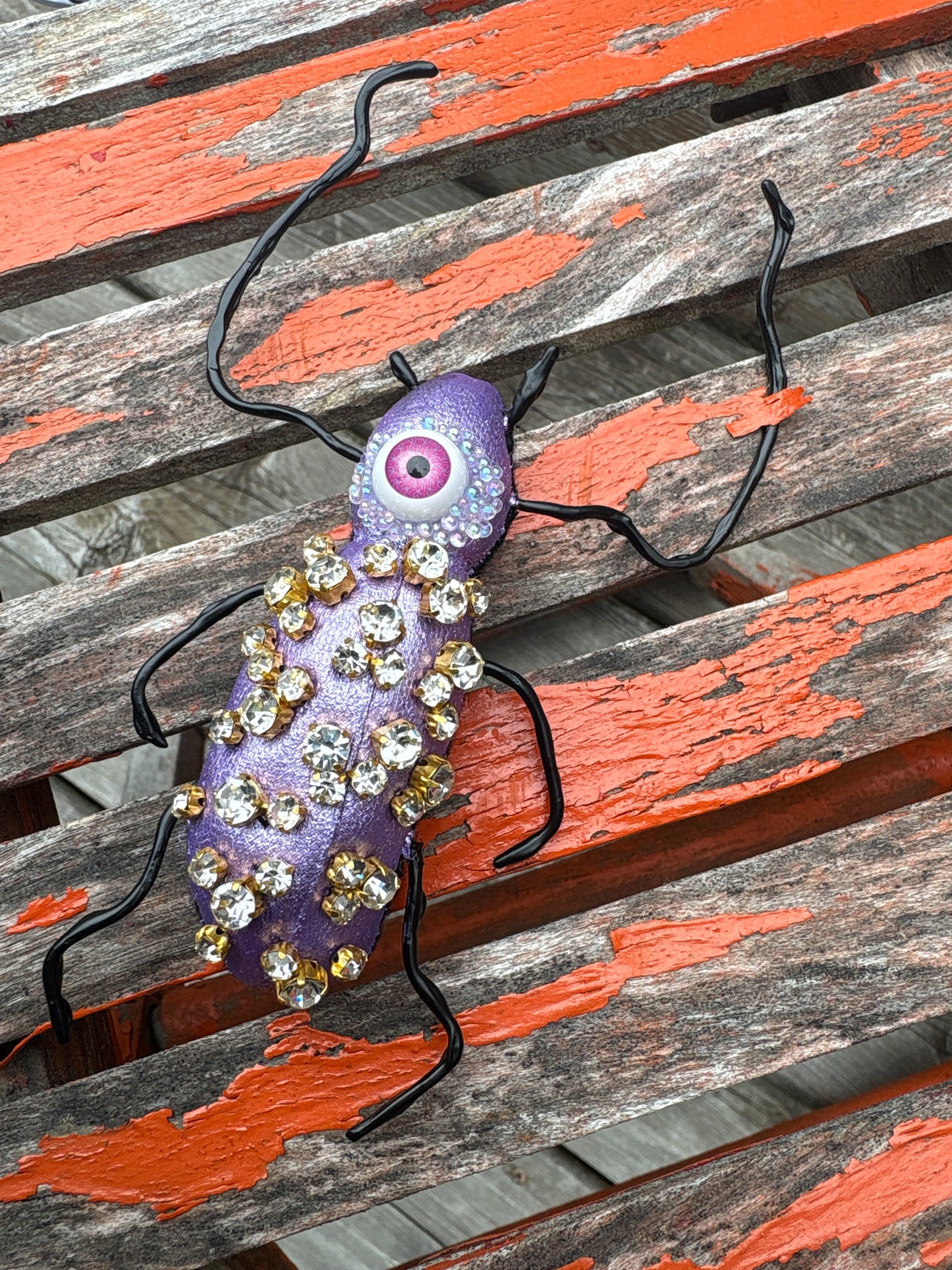 Fancy Textile Beetles