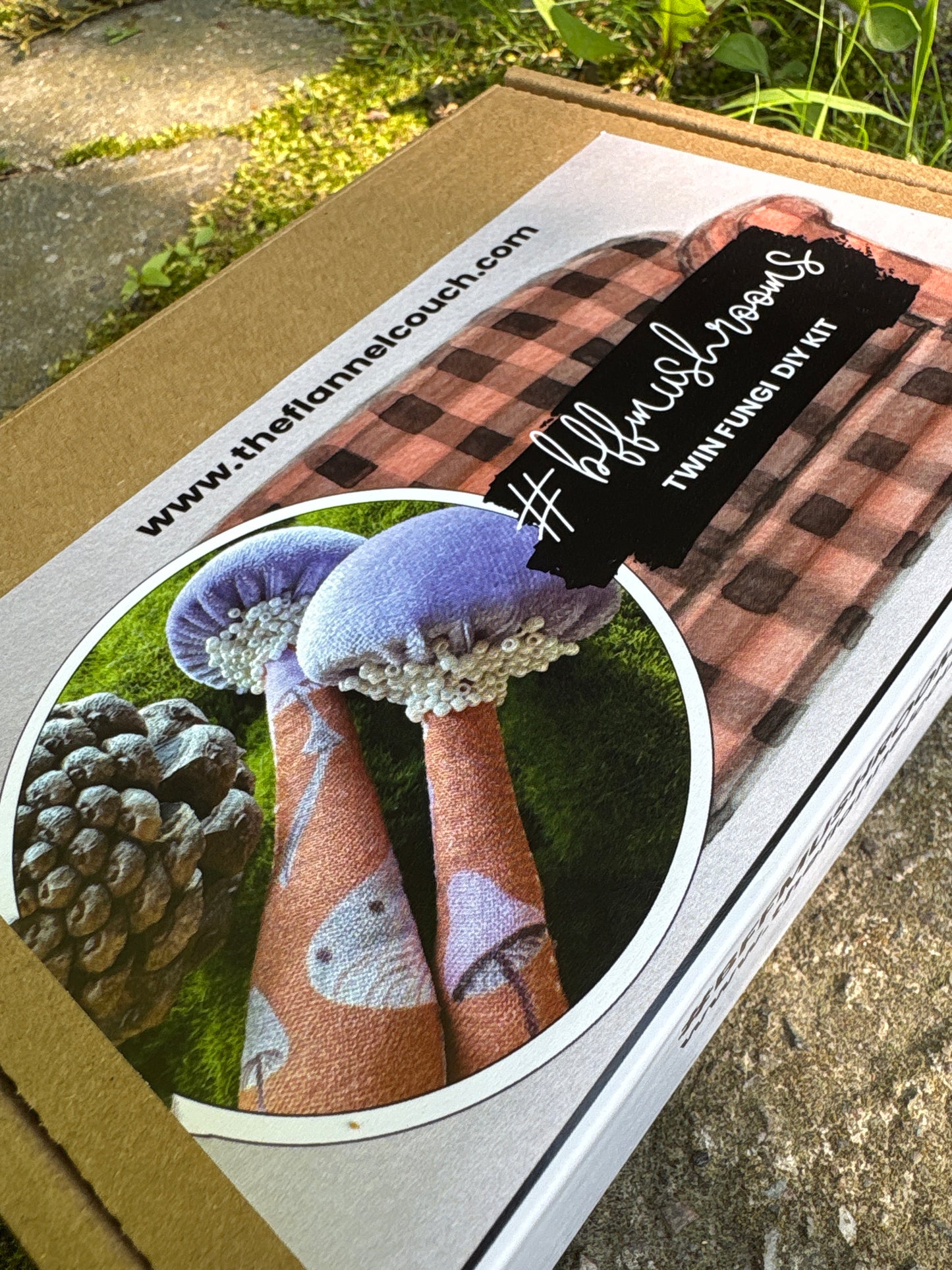 DIY Kits