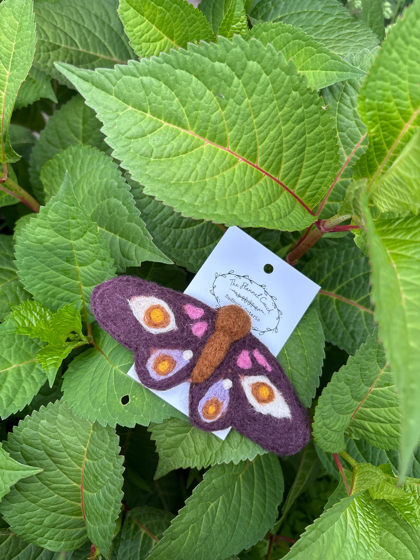Felted Moth & Butterflies