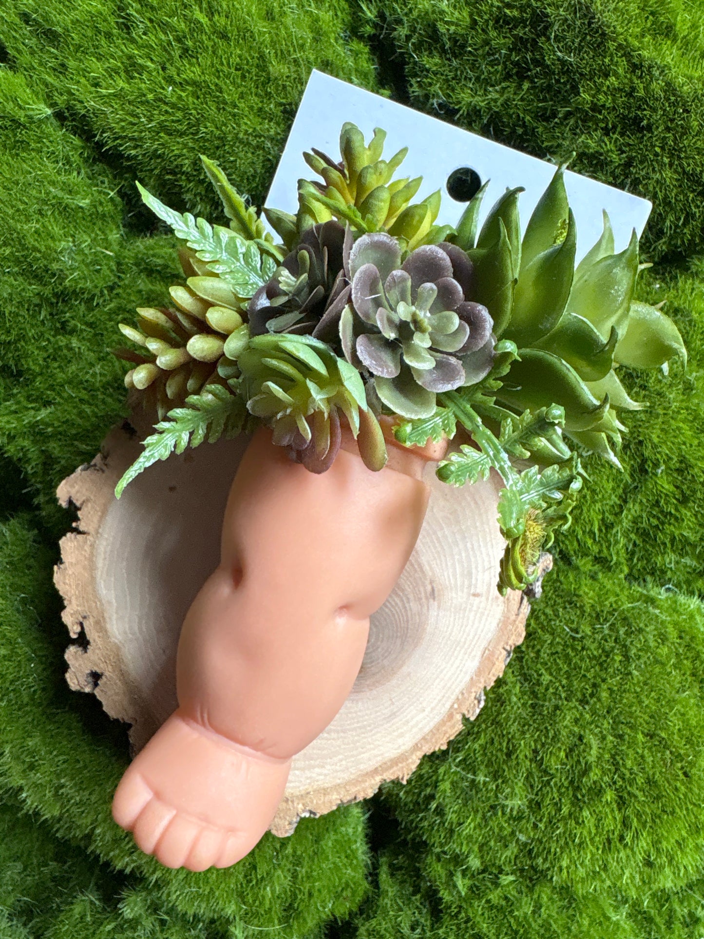Up Cycled Doll Succulent Magnets
