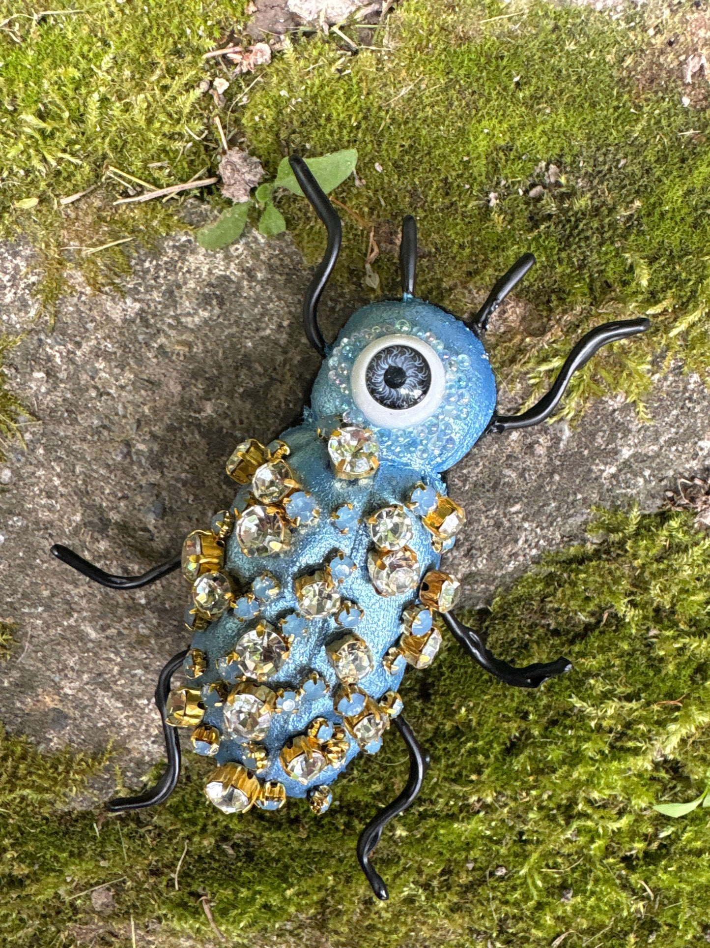 Fancy Textile Beetles