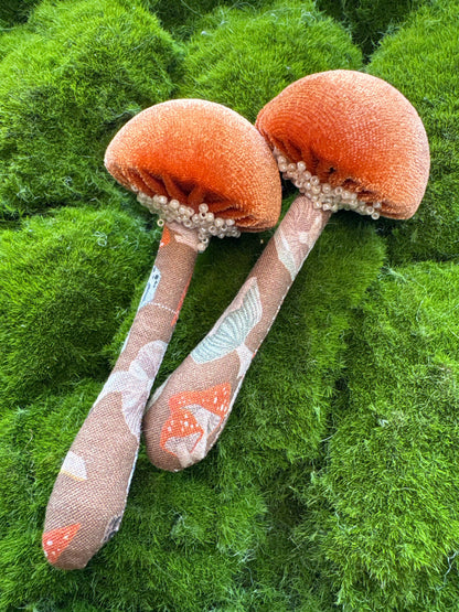 BFF Mushroom Box Set 🍄🍄