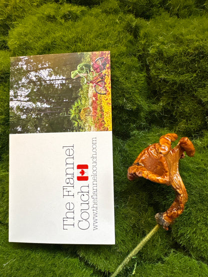 Wild Ontario Mushroom Plant Spikes