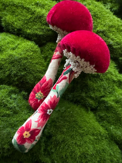 BFF Mushroom Box Set 🍄🍄