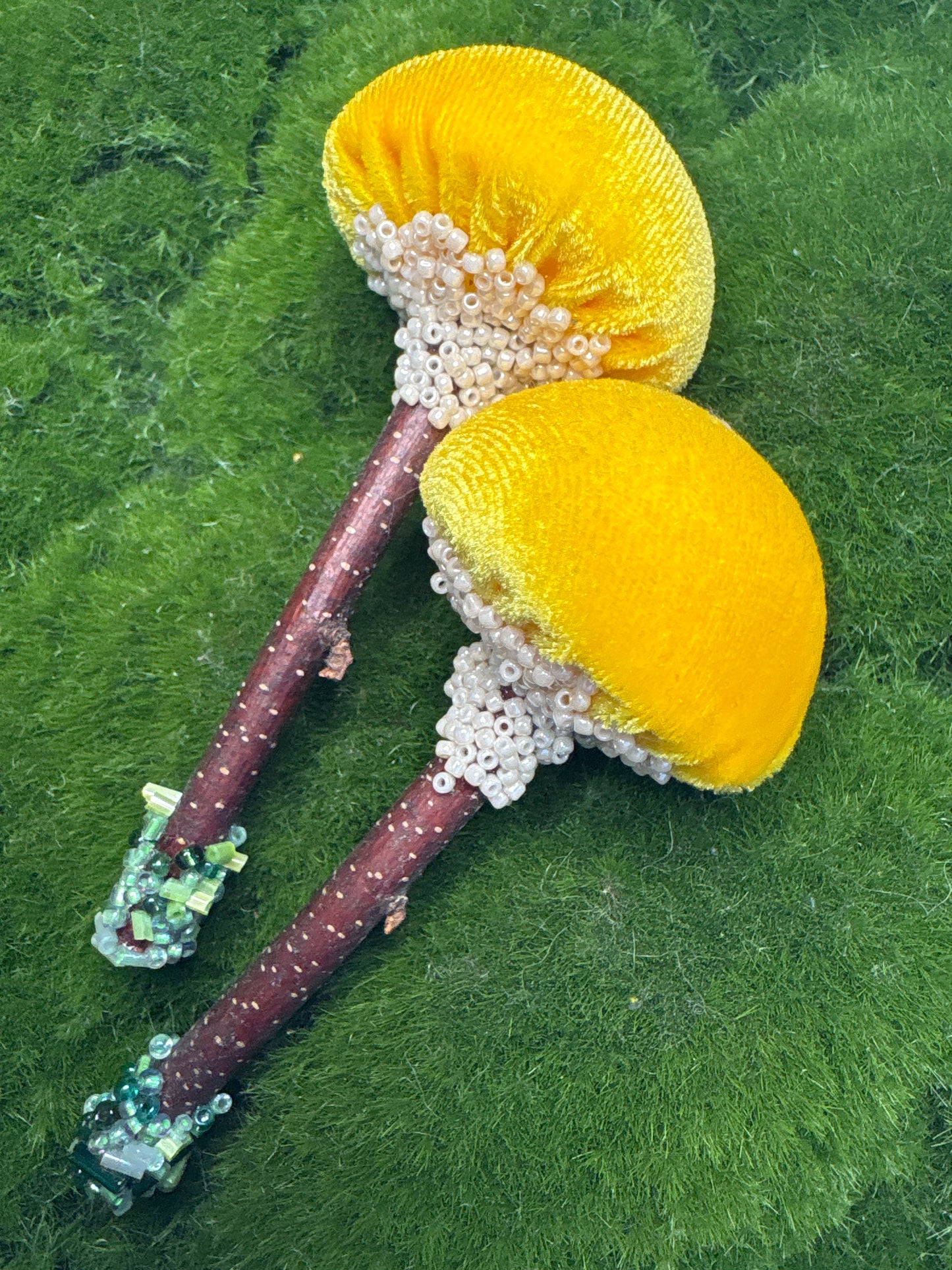 BFF Mushroom Box Set 🍄🍄