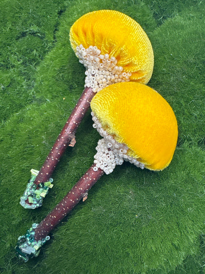 BFF Mushroom Box Set 🍄🍄