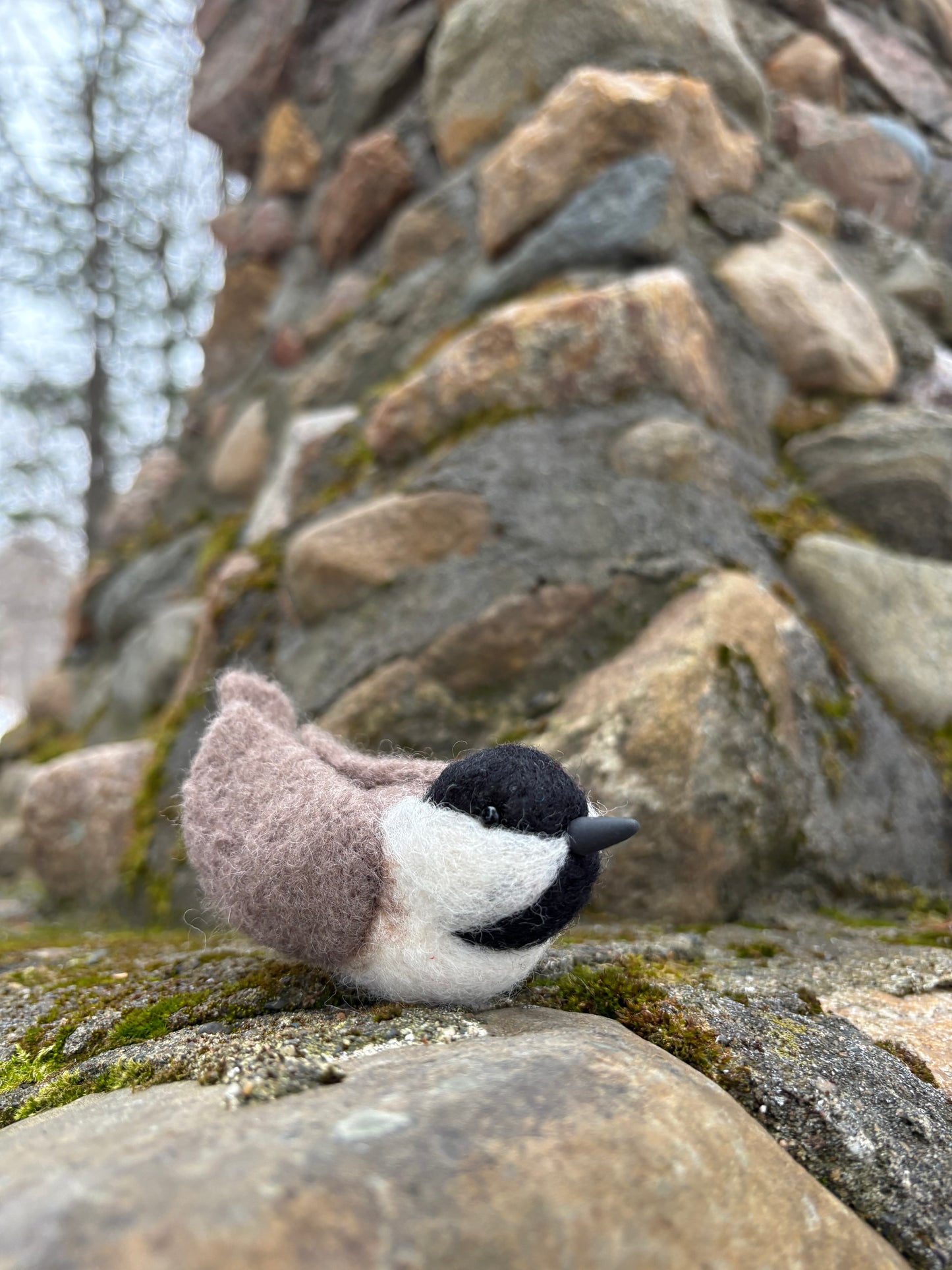 Winged Trinity Bird Felting Workshop/Chickadee (2nd Session)/ Perk and Pine/ Sunday March 1, 2026 11am-2pm