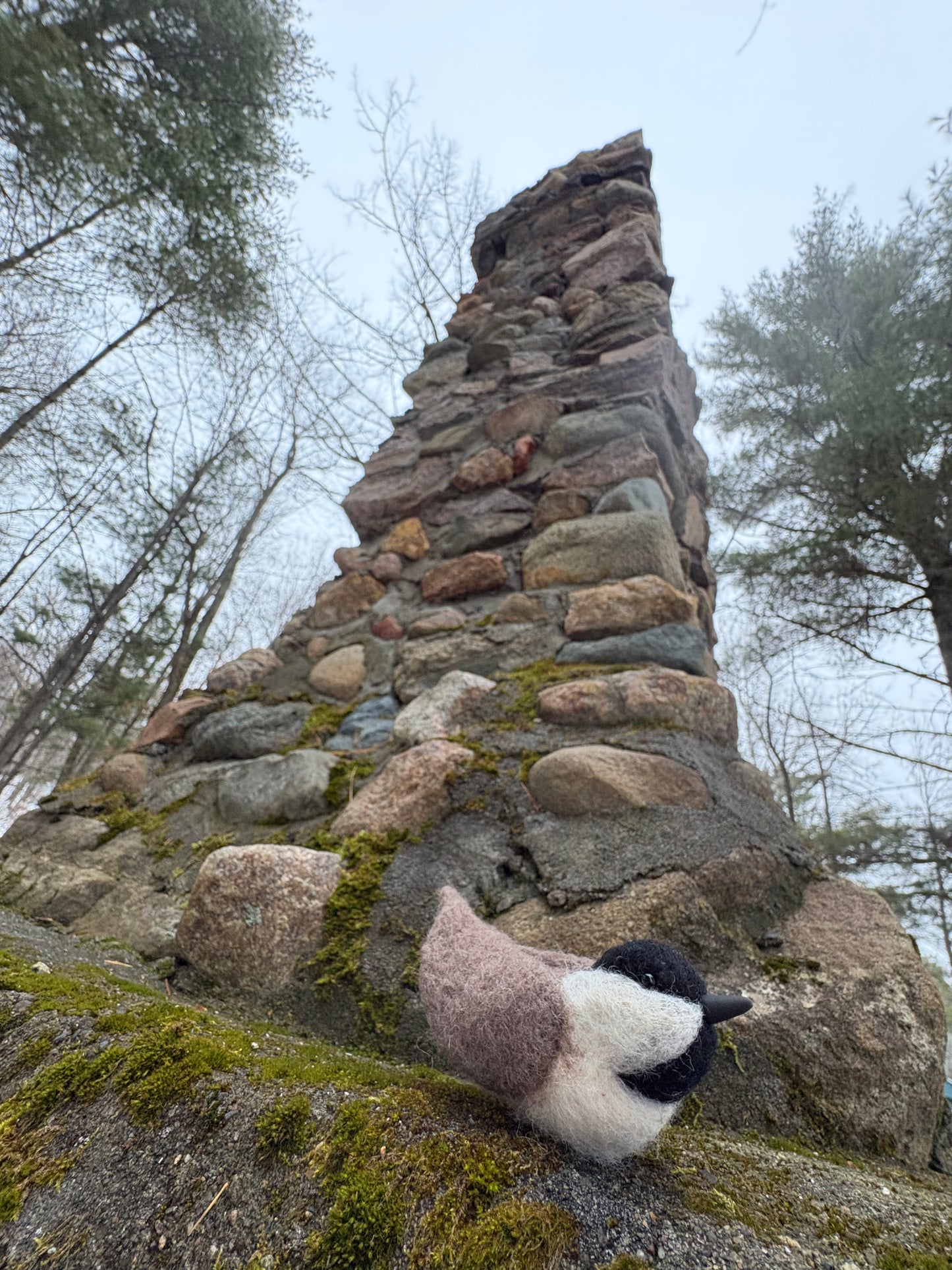 Winged Trinity Bird Felting Workshop/Chickadee (2nd Session)/ Perk and Pine/ Sunday March 1, 2026 11am-2pm