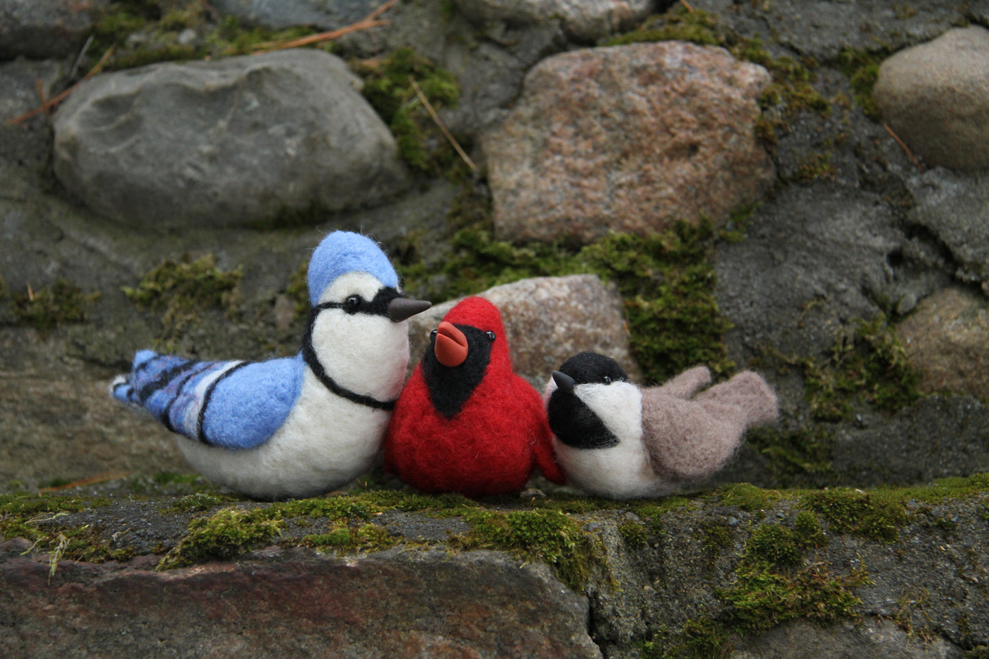 Private Bluejay 3D Felting Workshop Listing Reserved for Bélanger & Guests