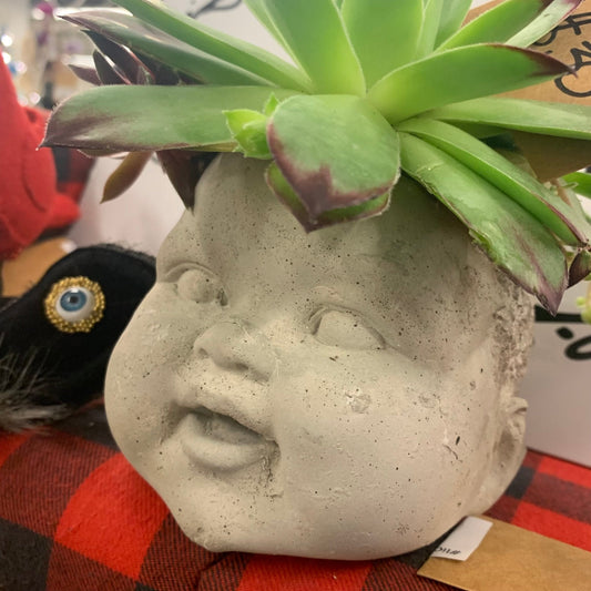 Concrete Head Planter w/ Plant - The Flannel Couch
